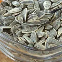 تخمه آفتابگردان خوی (شور و خام)