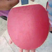 راکت تنیس روی میز