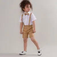 چهار تیکه مجلسی