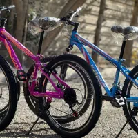 دوچرخه کمک فنر دار و دو شاخه ساده/لاستیک یاسا پهن