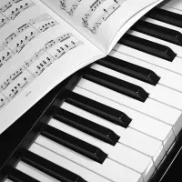 فروش باند و ارگ آ1000