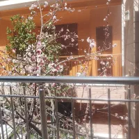 سناتور خدمات تمیزکاری