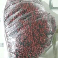 غذای ماهی کوی
