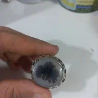 انگشتر شجر کلکسیونی تک|جواهرات|کارون, |دیوار