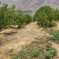 باغ شهری|فروش زمین و ملک کلنگی|سیدان, |دیوار