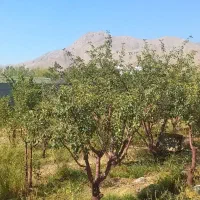زمین مهراباد