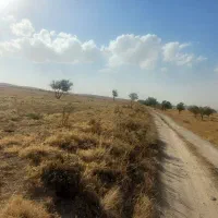 زمین دیمی در کنار جاده کندوان