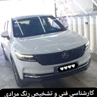 کارشناسی خودرو فنی و تشخیص رنگ|خدمات موتور و ماشین|پیشوا, |دیوار