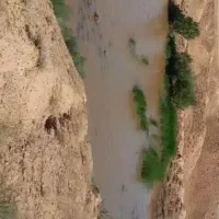 زمین ملکی زراعی معاوضه دارم