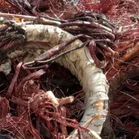 ضایعات شمارا خریدارم اهن پلاستیک کتاب از در خانه|عمدهفروشی|رفسنجان, |دیوار