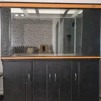 آکواریوم شرکتی ماهیران