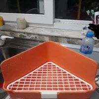 توالت/دستشویی/ظرف ادرار خرگوش|موش و خرگوش|فومن, |دیوار