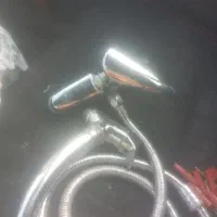 دو عدد شیر