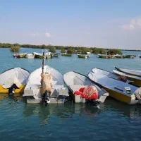 گشت جزیره. اجاره روزانه خودرو.|خدمات حمل و نقل|قشم, |دیوار