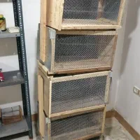 پنج عدد تله زنده گیر