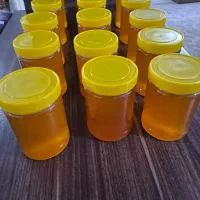 عسل گون کوهستان