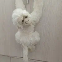 اسباب بازی|اسباب‌‌بازی|تهران, مینابی|دیوار