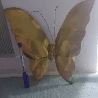 پروانه دیوار کوب