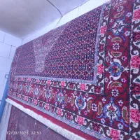 فرش دستباف|فرش|سنندج, |دیوار