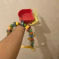 قفس پرنده با متعلقات