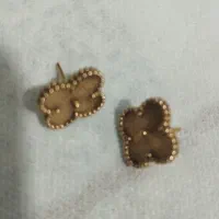 گل گوش ونکلیف ویک عدد سکه پارسیان|جواهرات|یاسوج, |دیوار