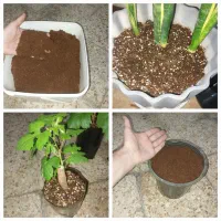 کوکوپیت،پیت ماس،ورمی کمپوست،پرلیت،کودگرانول ومرغی|گل و گیاه طبیعی|اهواز, شهرک حفاری|دیوار