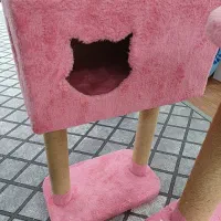 جای خواب گربه|لوازم جانبی حیوانات|بوشهر, |دیوار