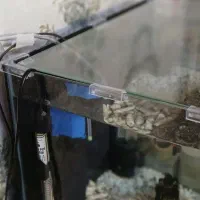 آکواریوم اکواریوم ۳بعدی شیک|ماهی|مشهد, سرافرازان|دیوار