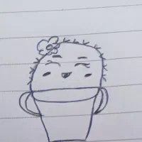 گلدانی از عجایب