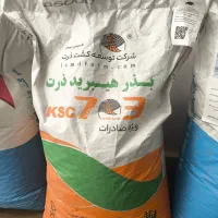 توذیع بذر ذرت علوفه ای و مکزیکی