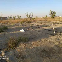 500متر باغ|فروش دفتر صنعتی، کشاورزی، تجاری|بهار, |دیوار