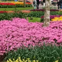 استخدام کارشناس کشاورزی