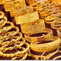 یک قطعه طلا پیدا کردم