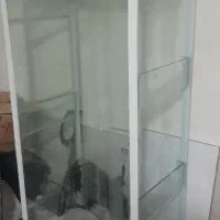 اکواریوم ارزان و به صرفه