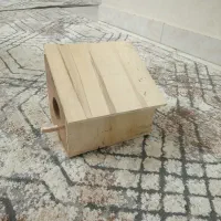 لونه پرنده