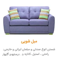 قالیشویی و مبل شویی باران مبلشویی تخصصی وتضمینی|خدمات نظافت|گلبهار, شهر جدید گلبهار|دیوار