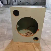 بم باکس