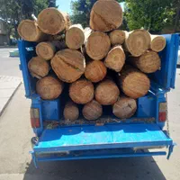 خریدچوب و درخت/ قطع درخت/هرس/چوب سقفی/حرس|خدمات باغبانی و درختکاری|مشهد, توس (بلوار توس)|دیوار