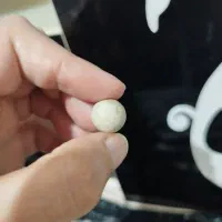 مهر اسیاب نر و ماده|جواهرات|اهواز, کمپلو جنوبی|دیوار