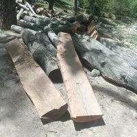 فروش چوب گردو