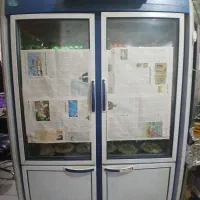 یخچال ایستاده مغازه  مارک الکترو امین
