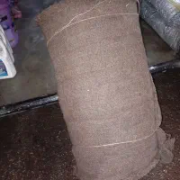 گونی قیربانی گم شده