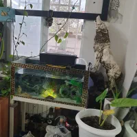 قیمت ۹۰۰۰۰۰۰