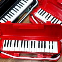 ملودیکا ۳۷ کلید Bee . پیانو . گیتار