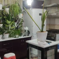 اجاره واحد ۶۲ متری|اجارهٔ آپارتمان|تهران, فلاح|دیوار