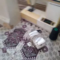 ژانومه سالم