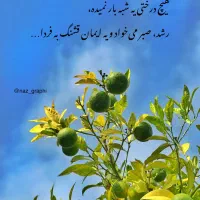 وام ازدواج ۳۰۰ میلیونی.