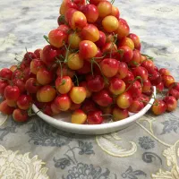 میوه مصنوعی گیلاس