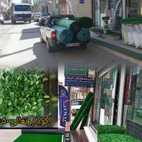 چمن مصنوعی|مصالح و تجهیزات ساختمان|تاکستان, |دیوار