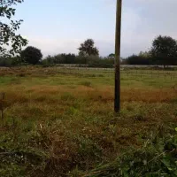 زمین بایر لاهیجان سیاهکل